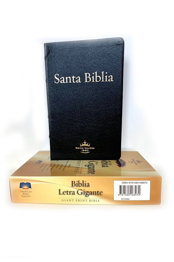 Santa Biblia Reina Valera 1960 letra gigante