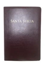 Santa Biblia Valera 1602 purificada - edición letra grande (piel fabricada)