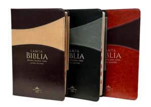 Portada de la Santa Biblia RV60 con Concordancia, Letra Grande e Índice