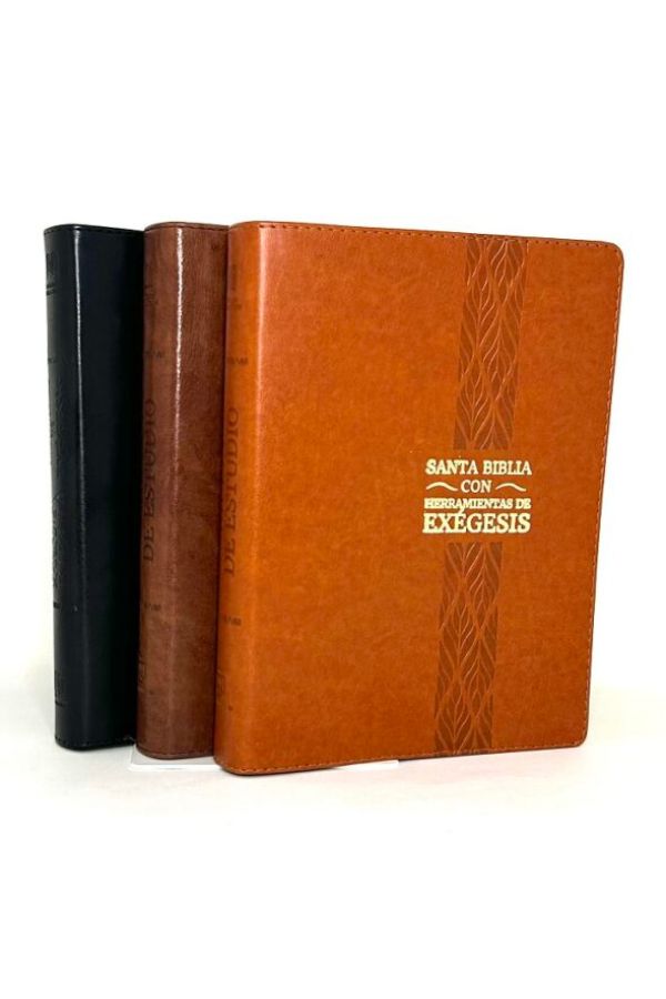 Biblia de estudio RV95