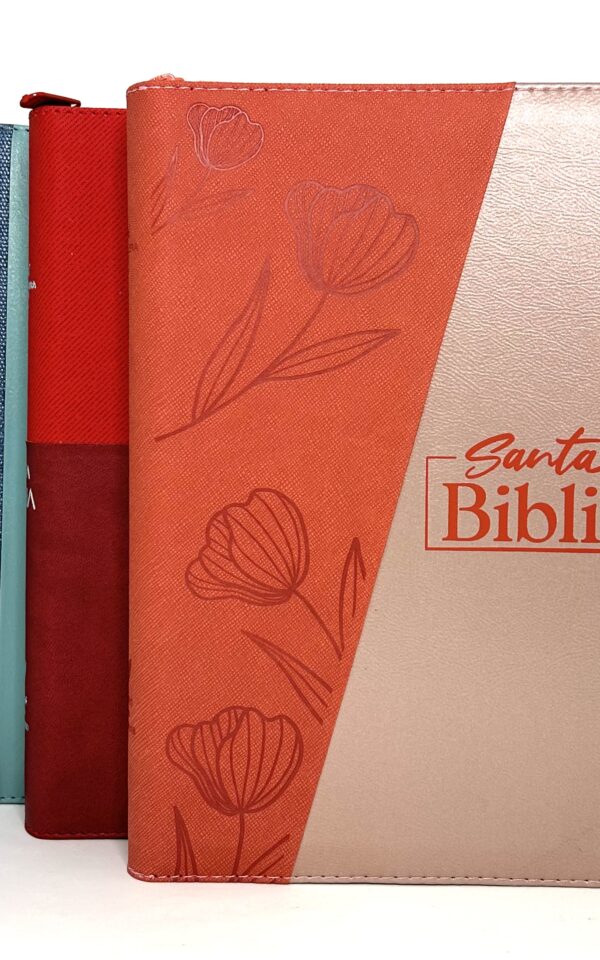 Santa Biblia Reina Valera 1960 Letra Gigante con códigos QR