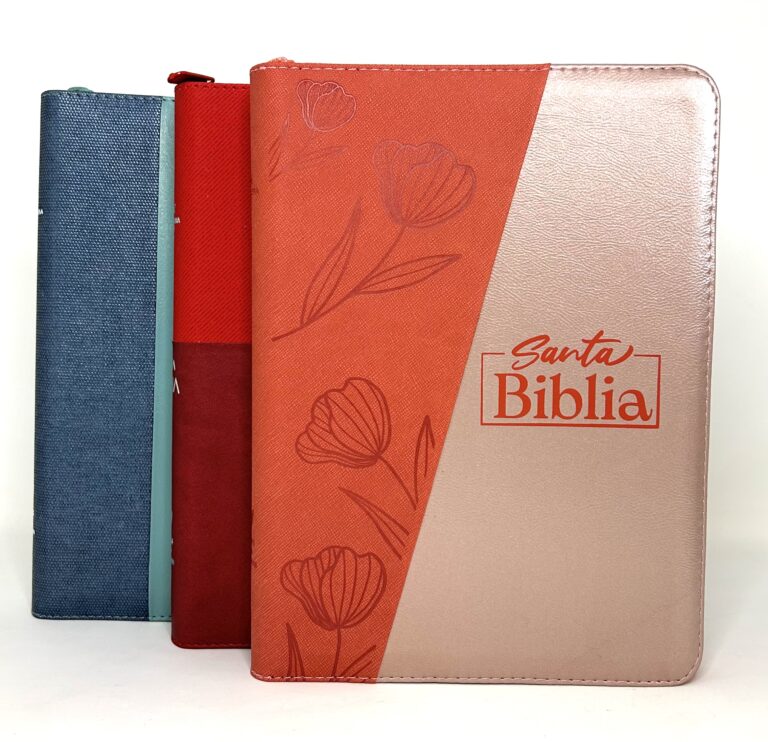 Santa Biblia Reina Valera 1960 Letra Gigante con códigos QR