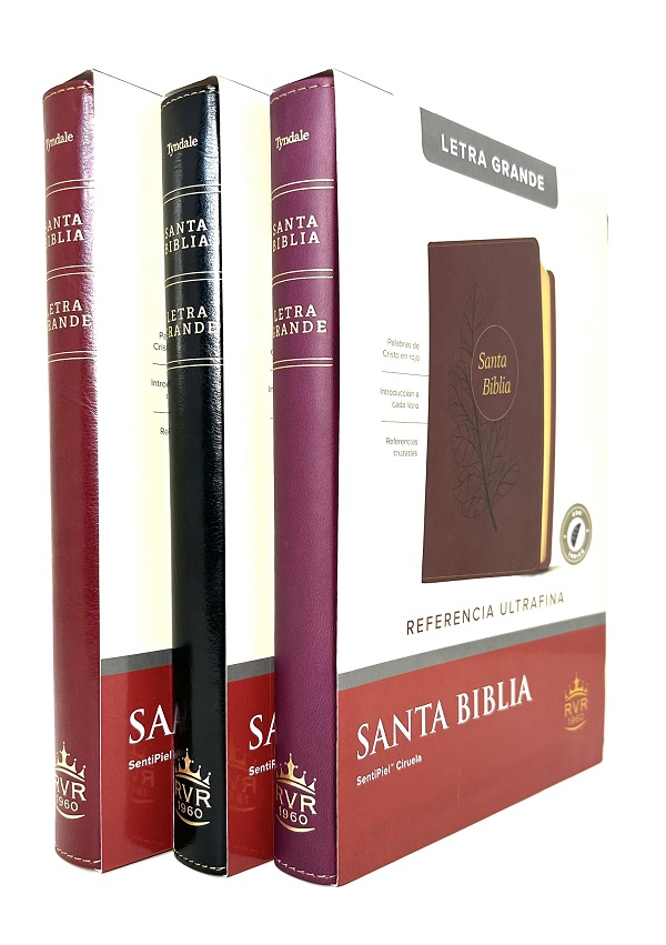 Portada de la Santa Biblia RVR1960 Letra Grande con Uñeros, con encuadernación en color negro, café rojizo o ciruela y diseño elegante.​