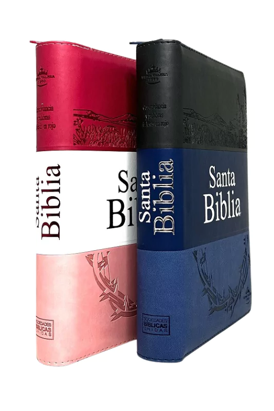 Santa Biblia Reina Valera 1960 letra grande con referencias y tapa dura