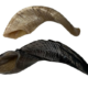 Horn Shofar