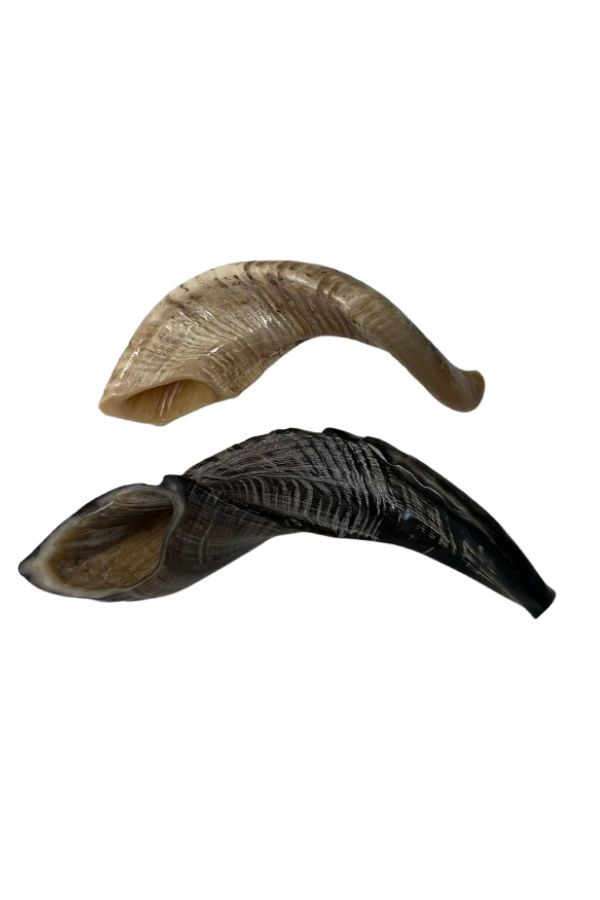 Shofar